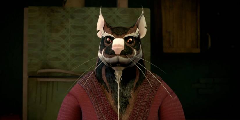 Splinter Fran Tmnt 15 Coolest Teenage Mutant Ninja Turtles Characters