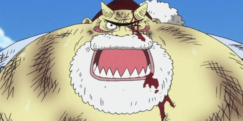 10 Times Love Destroyed One Piece's Heroes