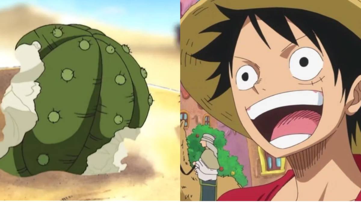 10 Weirdest Plants In One Piece, Ranked