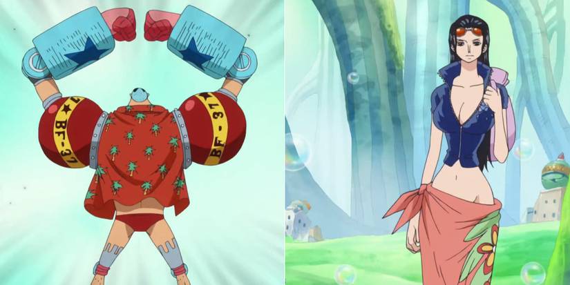 One Piece's 10 Most Controversial Story Arcs