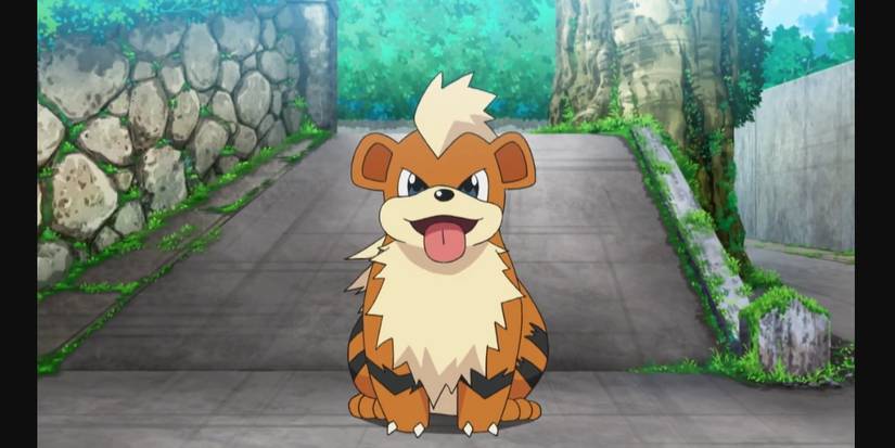 Most Lithe 10 Most Adorable Pokémon Based on Household Pets