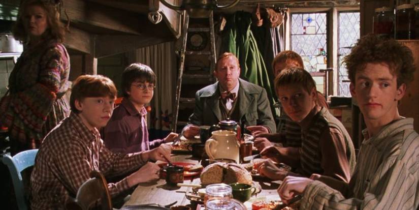 Harry & Ron's 10 Best Interactions In The Harry Potter Movies