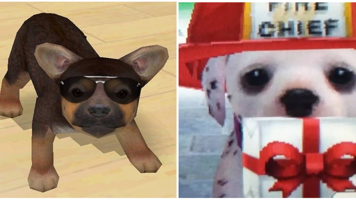 10 Things Fans Miss Most About Nintendogs