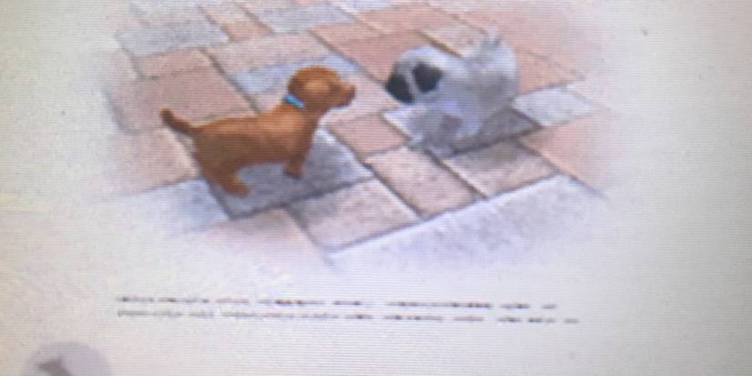 10 Things Fans Miss Most About Nintendogs