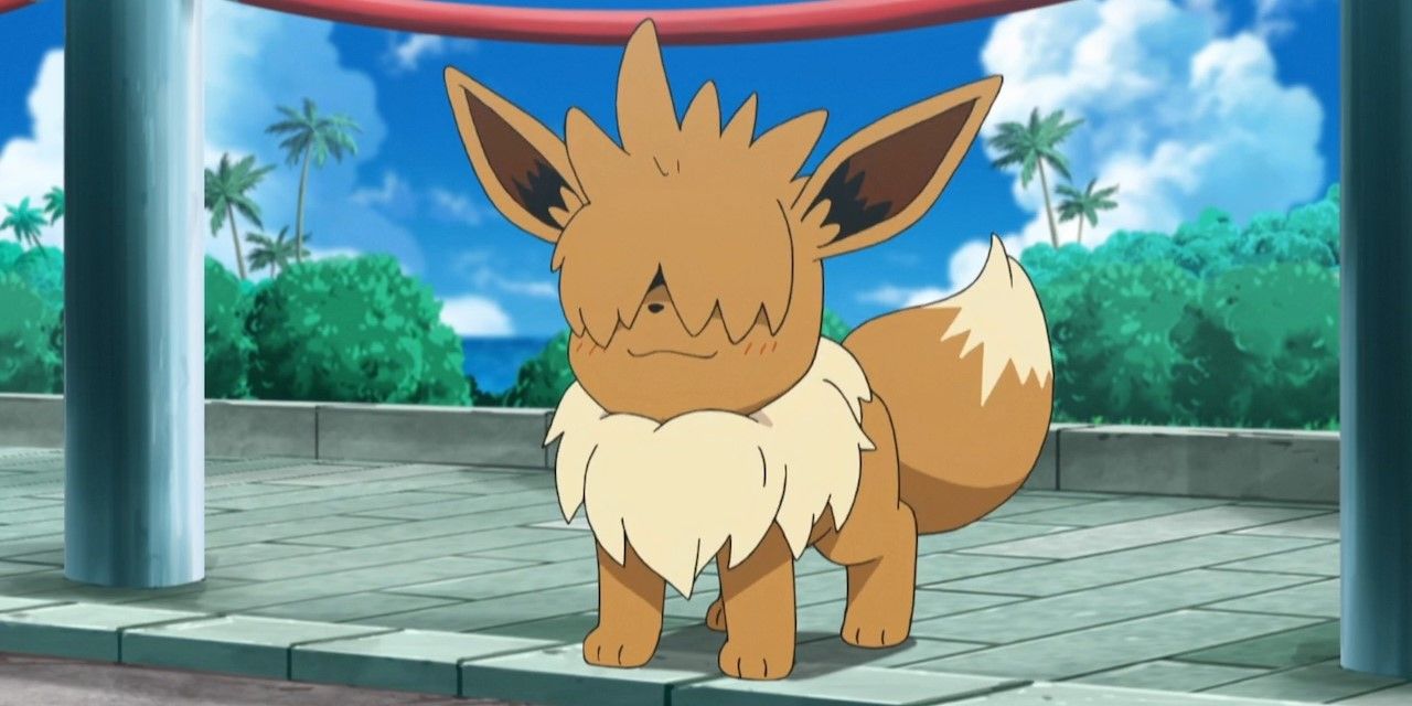 Sandy, o Eevee peludo do anime Pokémon