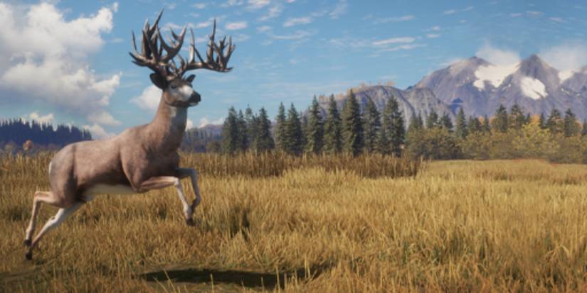 10 Best Hunting Video Games Of All Time, Ranked