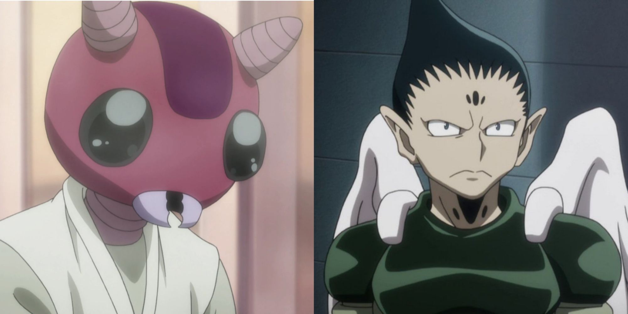 Shidore and Colt Hunter x Hunter