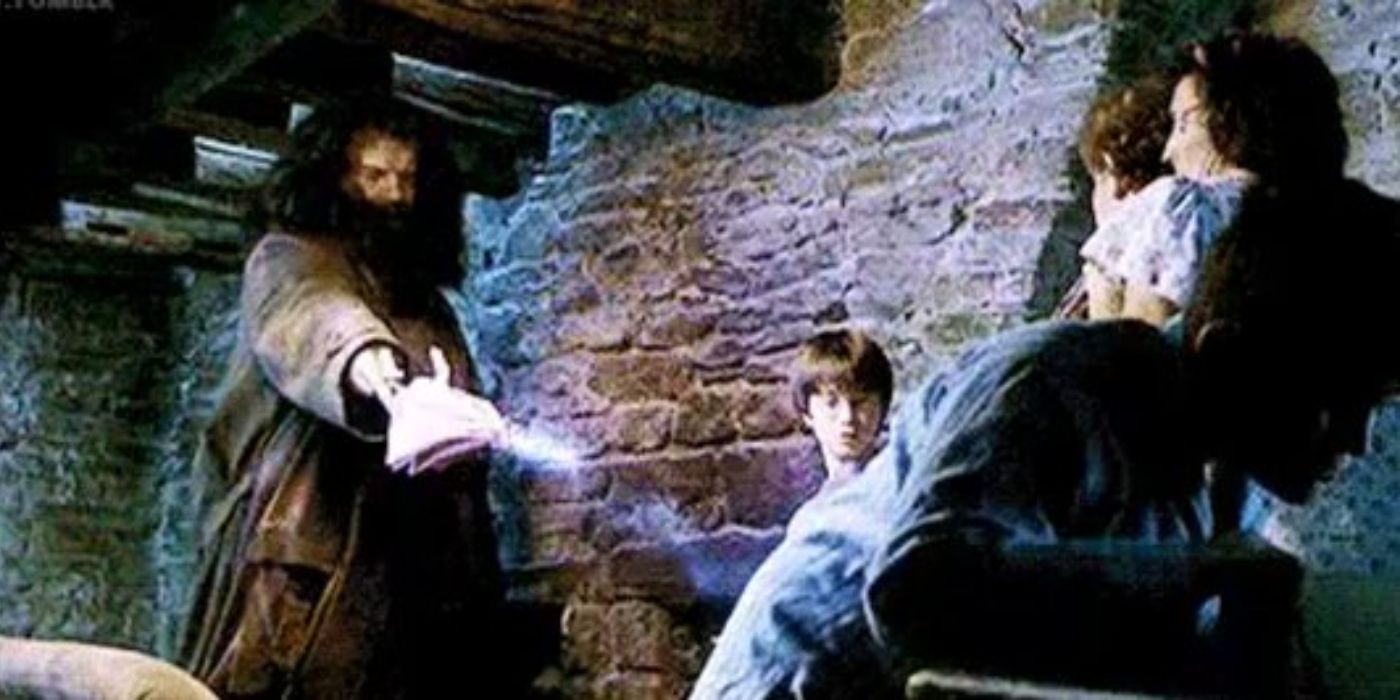 10 Major Harry Potter Scenes That Prove Hagrid Is Harry's Greatest Friend