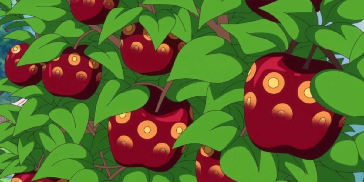 One Piece: All 7 Types Of Devil Fruits In The Franchise, Ranked