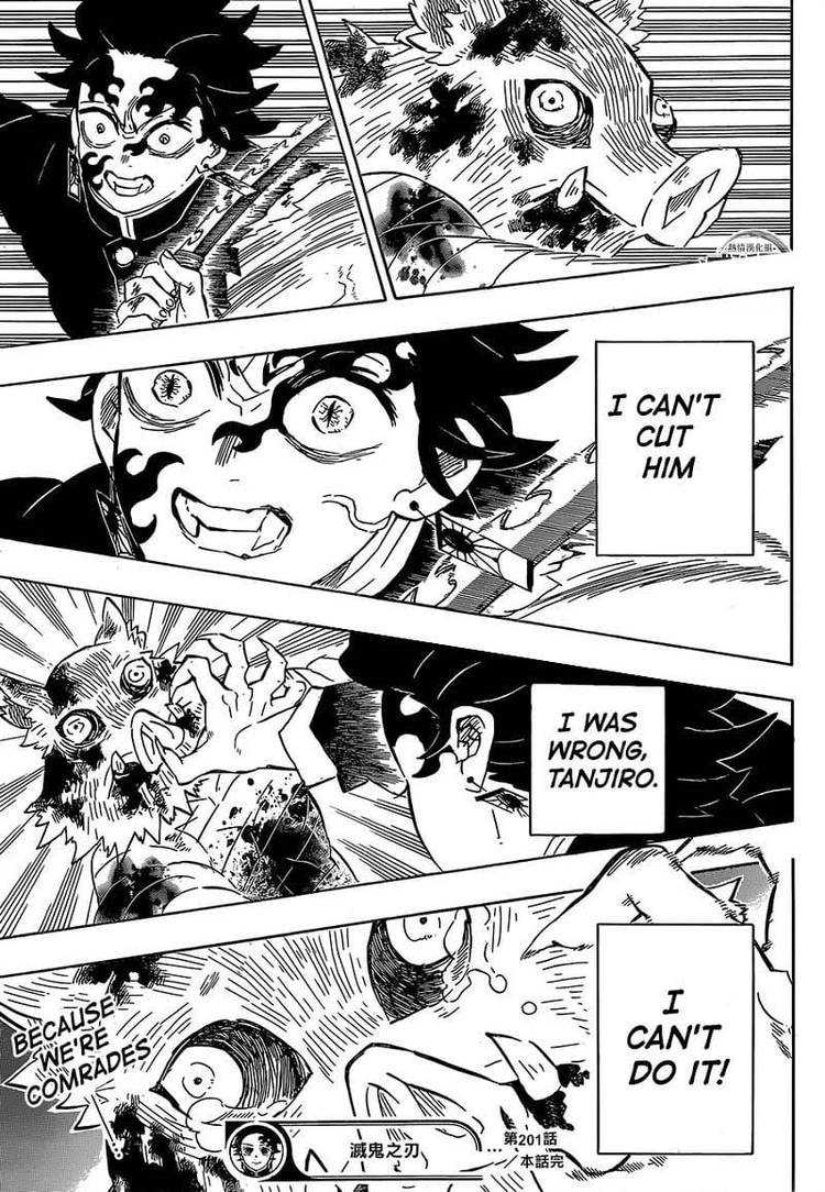 Demon Slayer Subverted Inosuke and Tanjiro's Relationship in the Manga