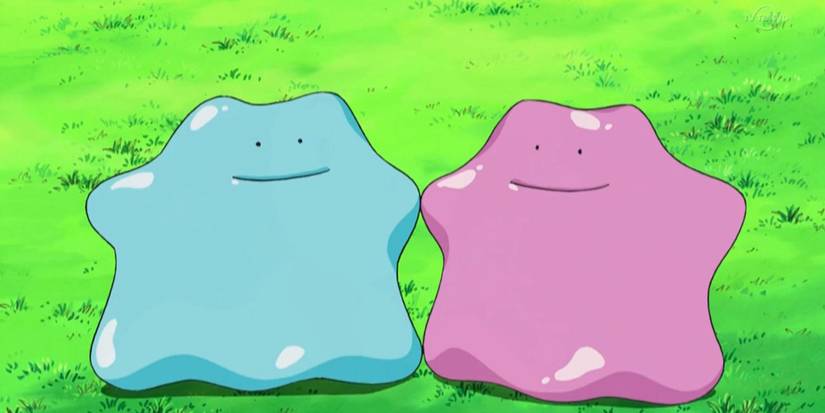 Best Pokémon to Beat Stadium's Gym Leader Castle, Ranked