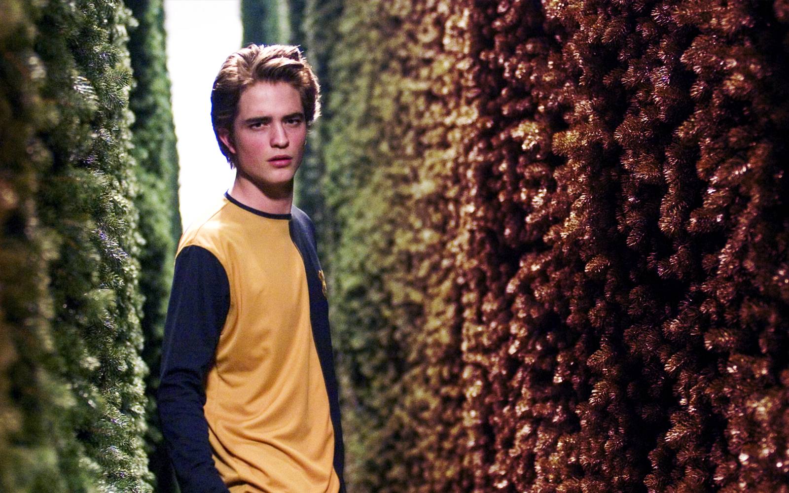 Cedric Diggory En Harry Potter Slash Review And Photos Of Gentle Giant
