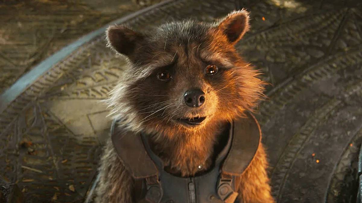Rocket Rescuing Racoons How Rocket Raccoon Became the Emotional Center of GotG