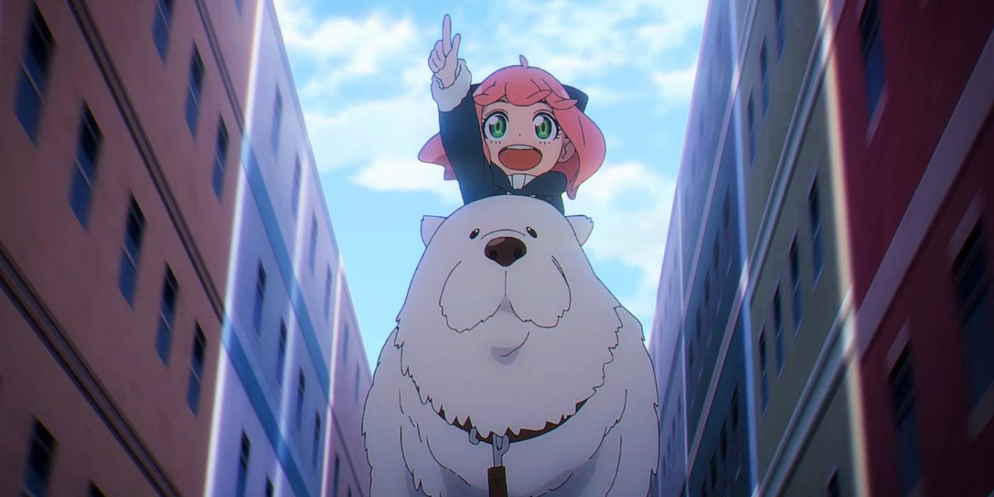 Anya playing with bond