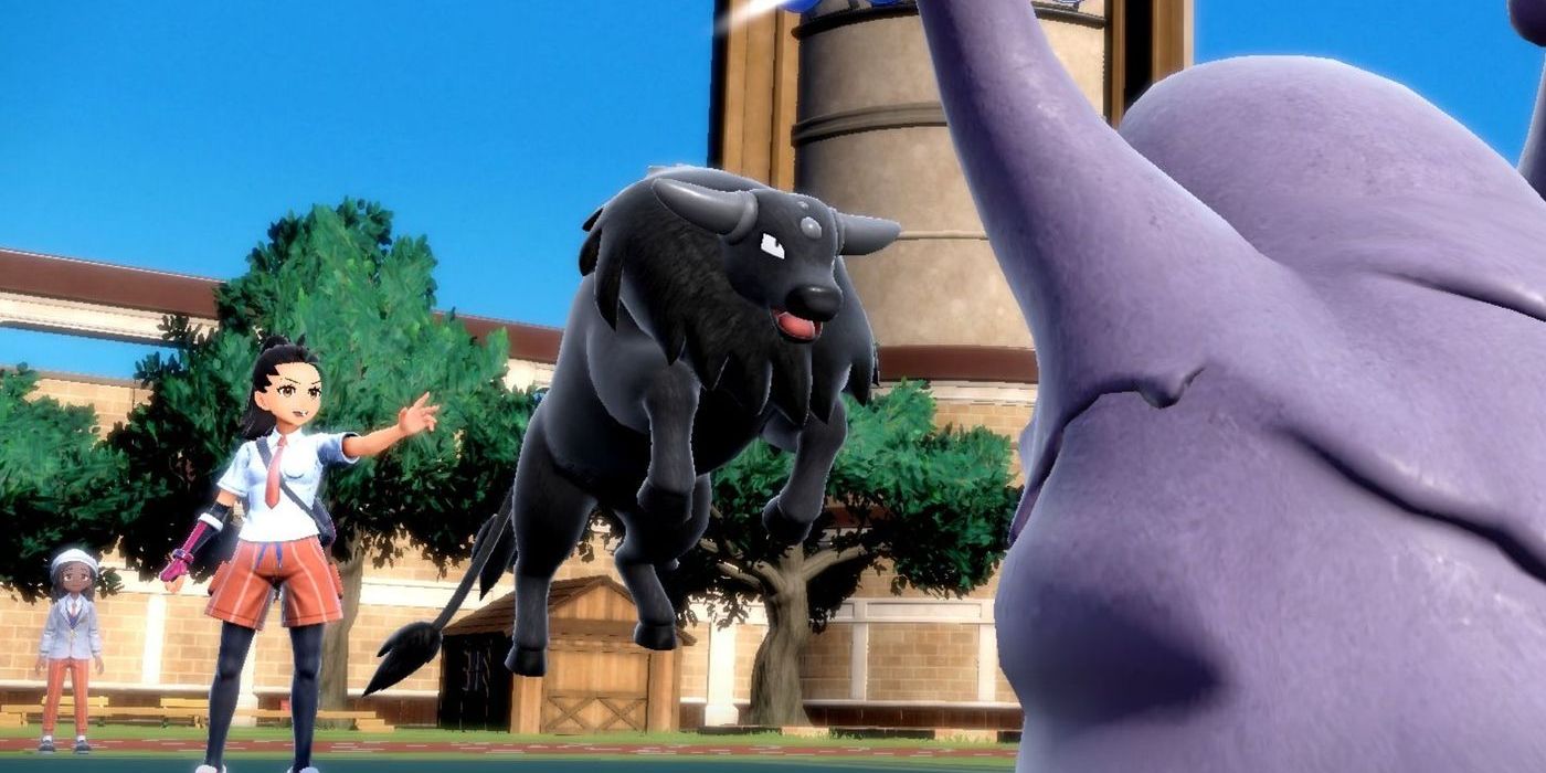 This Unexpected Trainer Is the Perfect Pokémon Rival