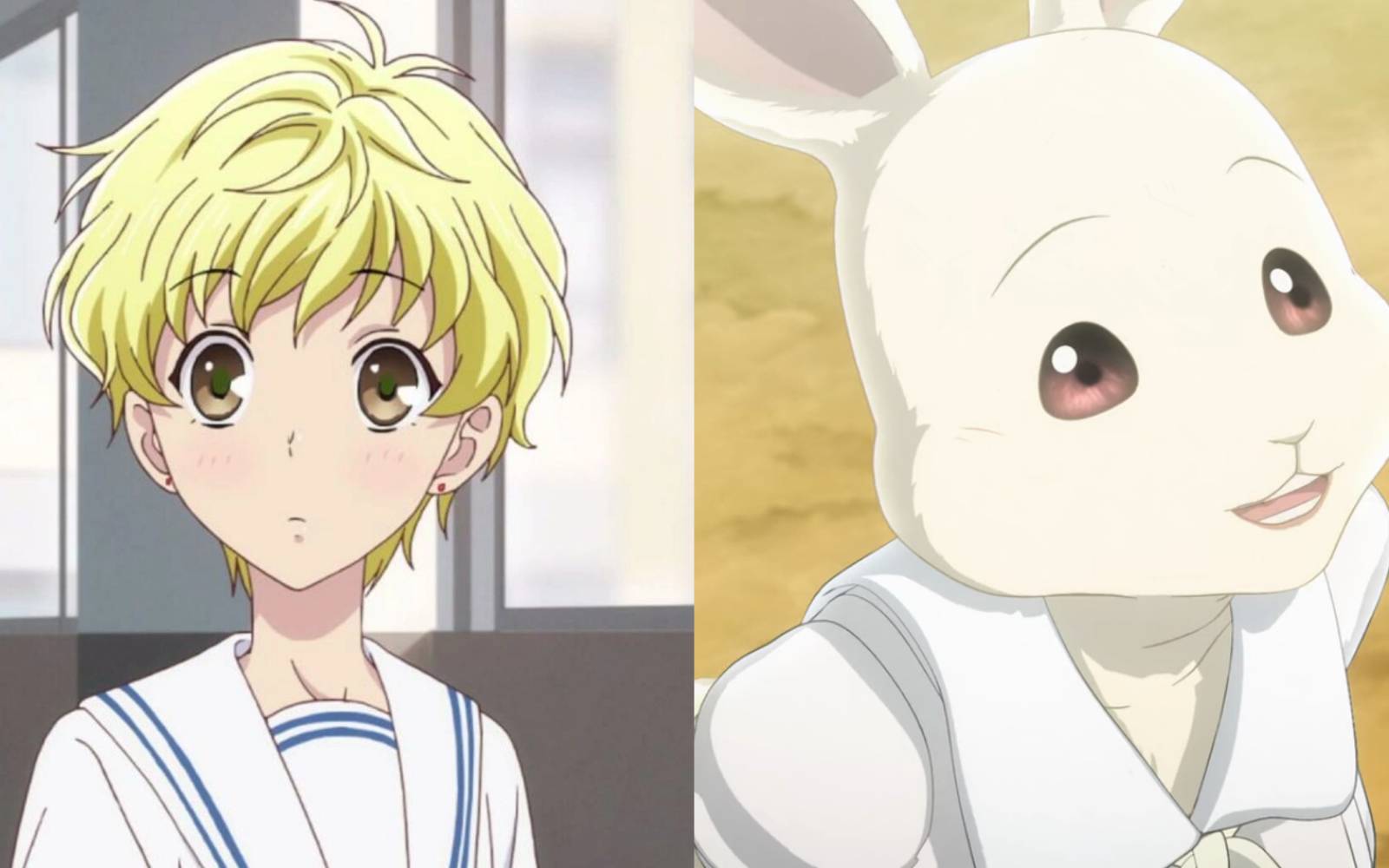 Anime Boy With Bunny Ears Bunny Boy 🐇 | Anime Art Amino