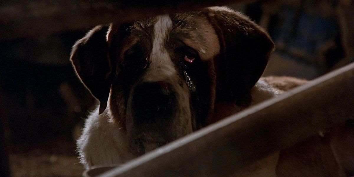 30 Years Later, This Terrifying Stephen King Story Is Still Begging for ...