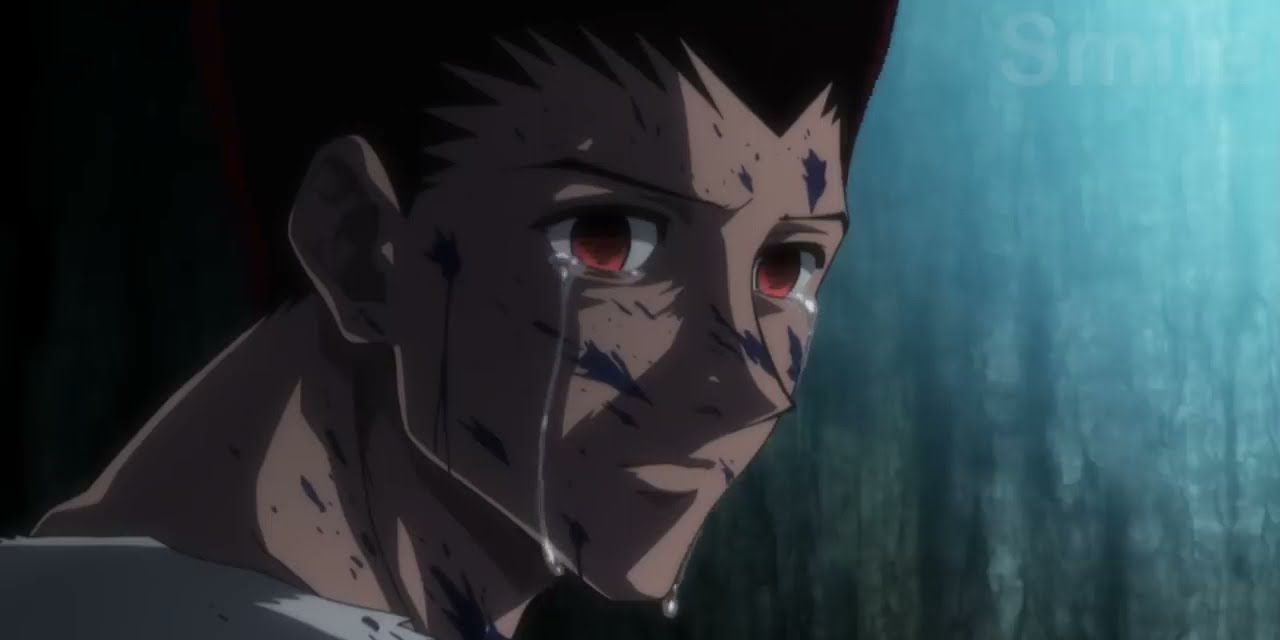 1 of the Biggest Plot Twists in Hunter X Hunter is Not What Fans Think