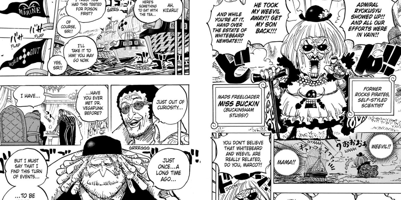 One Piece Chapter 1073 Recap & Spoilers: Miss Buckingham Stussy