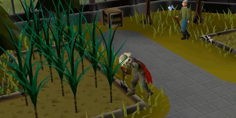 A player farms in Old School Runescape.