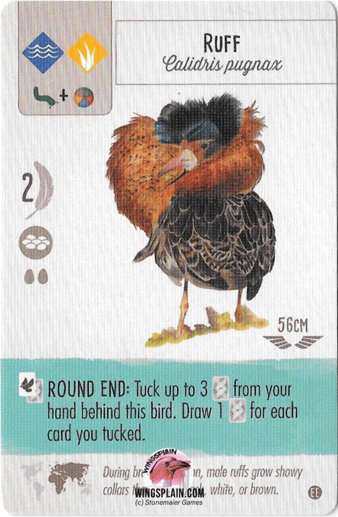 10 Most Powerful Cards In Wingspan