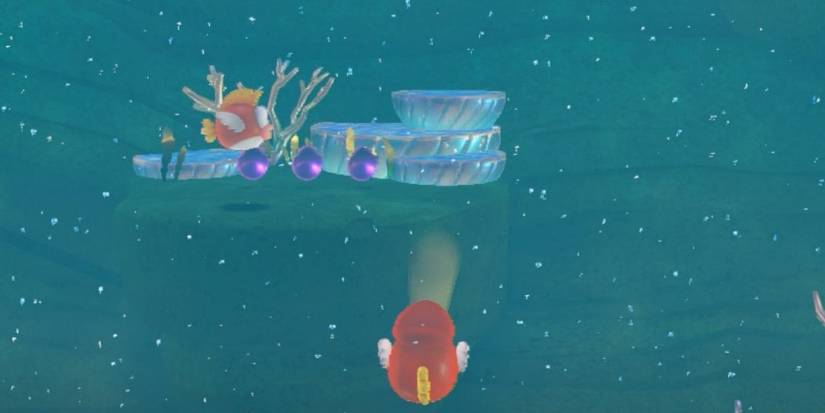 Super Mario Odyssey: How To Find Every Purple Coin In Seaside Kingdom