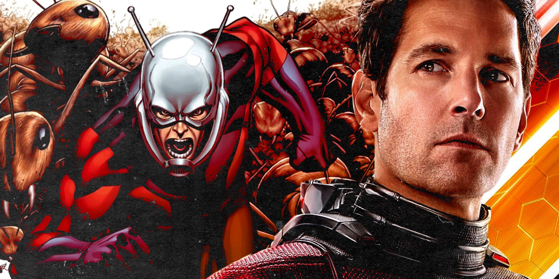 Ant-Man 3' Director Promises Major Marvel Cameos In The Quantum Realm