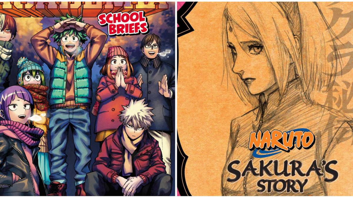 10 Shonen Light Novels That Deserve An OVA