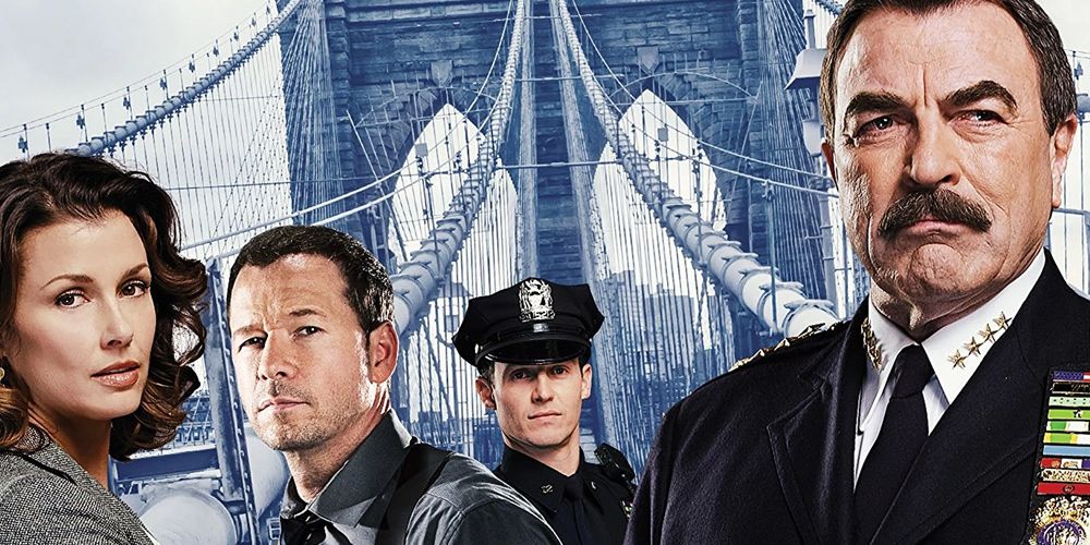 I'm Disappointed Blue Bloods Gave a Spinoff to Danny When There Was a Much  Better Option Hiding in Plain Sight