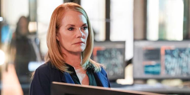 Csi Occupation Every Series In The CSI Franchise, Ranked