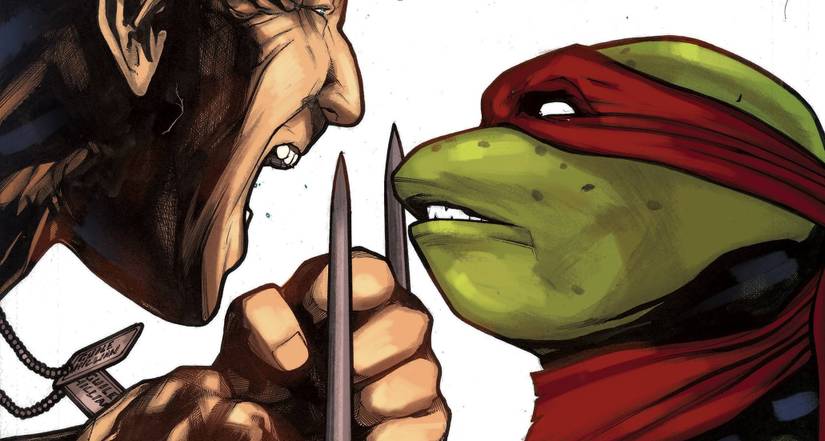 TMNT vs. Street Fighter Creators Unleash a Killer Combo