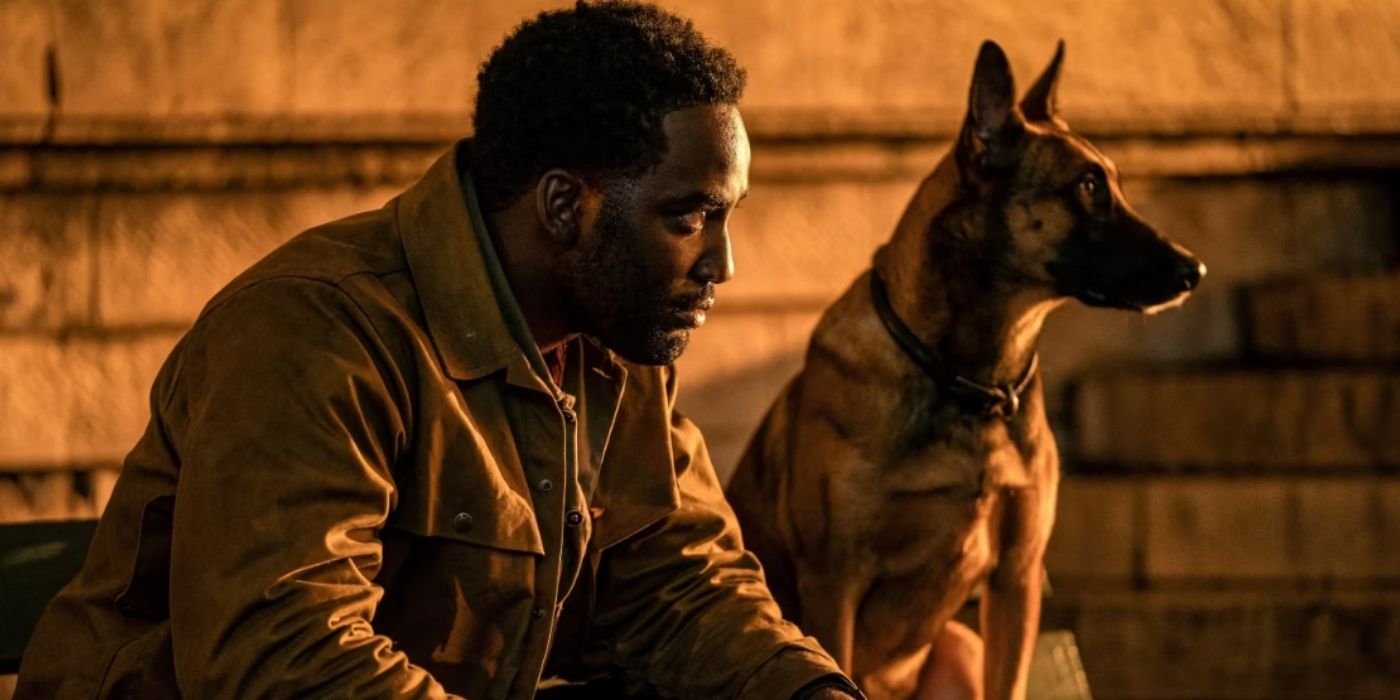 'Either the Best or the Worst Scene': John Wick Director Recalls Studio Concerns Over First Film's Pivotal Moment