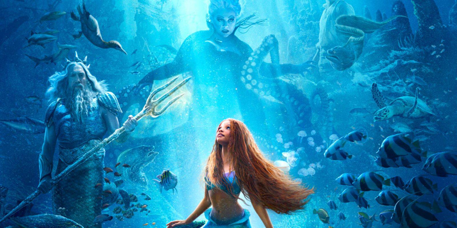 Ursula