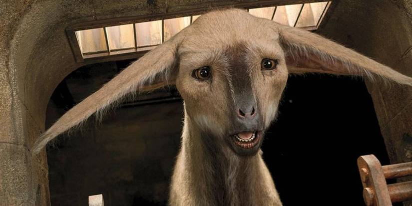 10 Cutest Star Wars Creatures 10 Cutest Star Wars Creatures