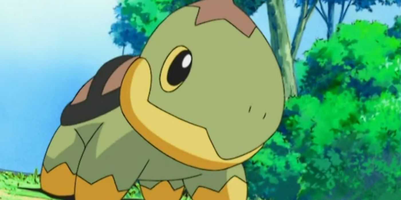 Turtle Python Pokemon Every Turtle In Pokémon