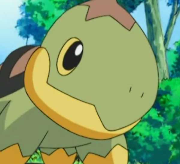 Turly Pokemon Every Turtle In Pokémon