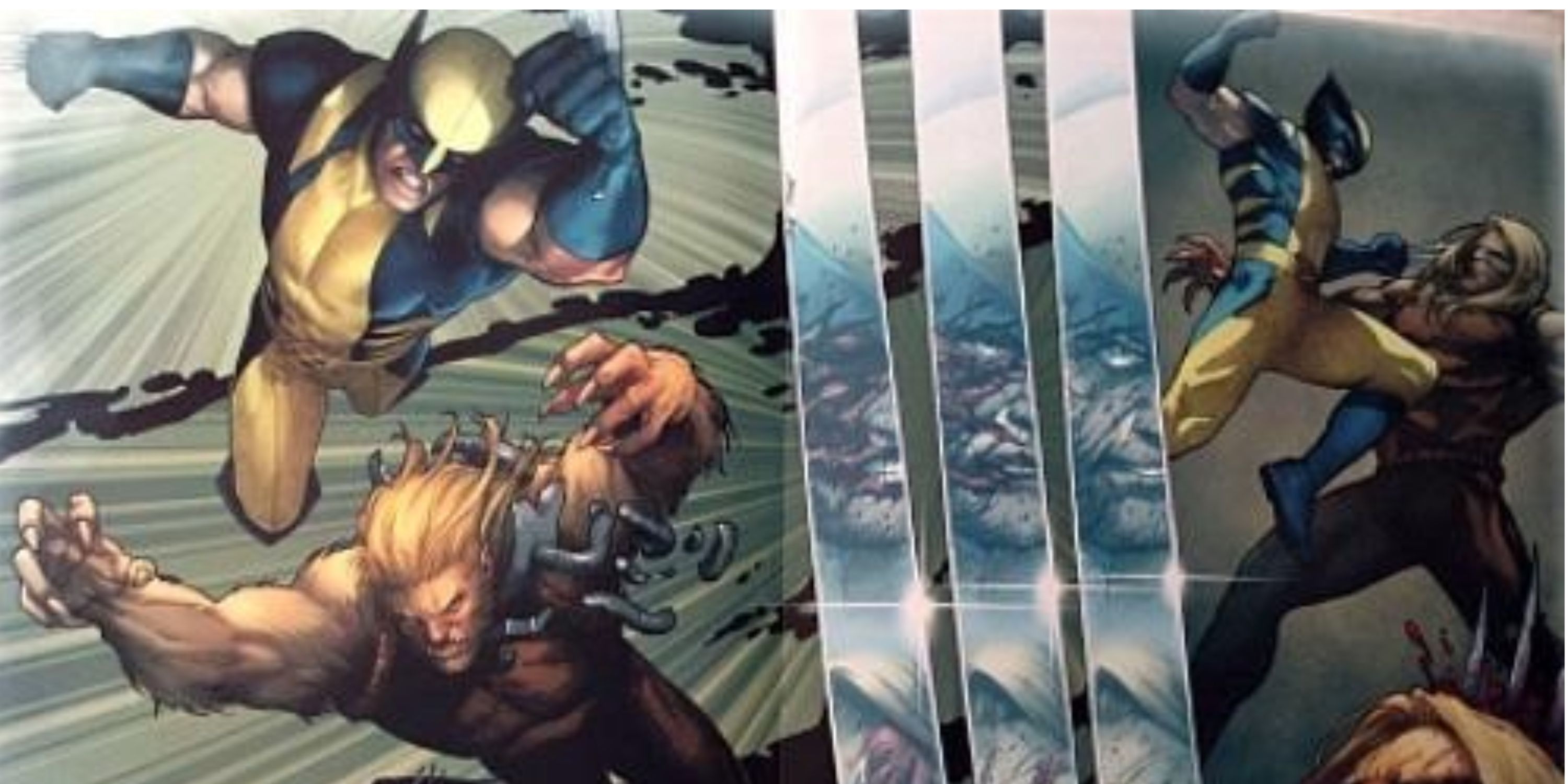 Sabretooth War Highlights An Interesting Aspect Of Wolverine And ...