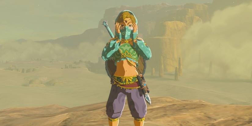 Every Time Breath Of The Wild Made No Sense every-time-breath-of-the-wild-made-no-sense