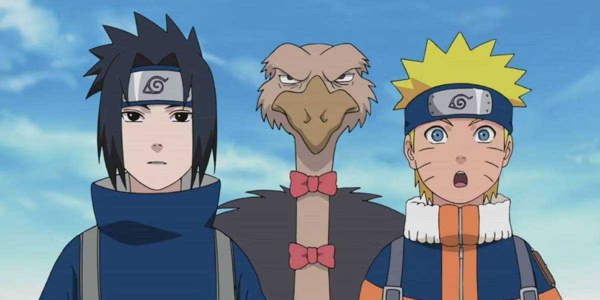 Naruto, Sasuke, and ninja ostrich stare at the audience in Naruto Shippuden.