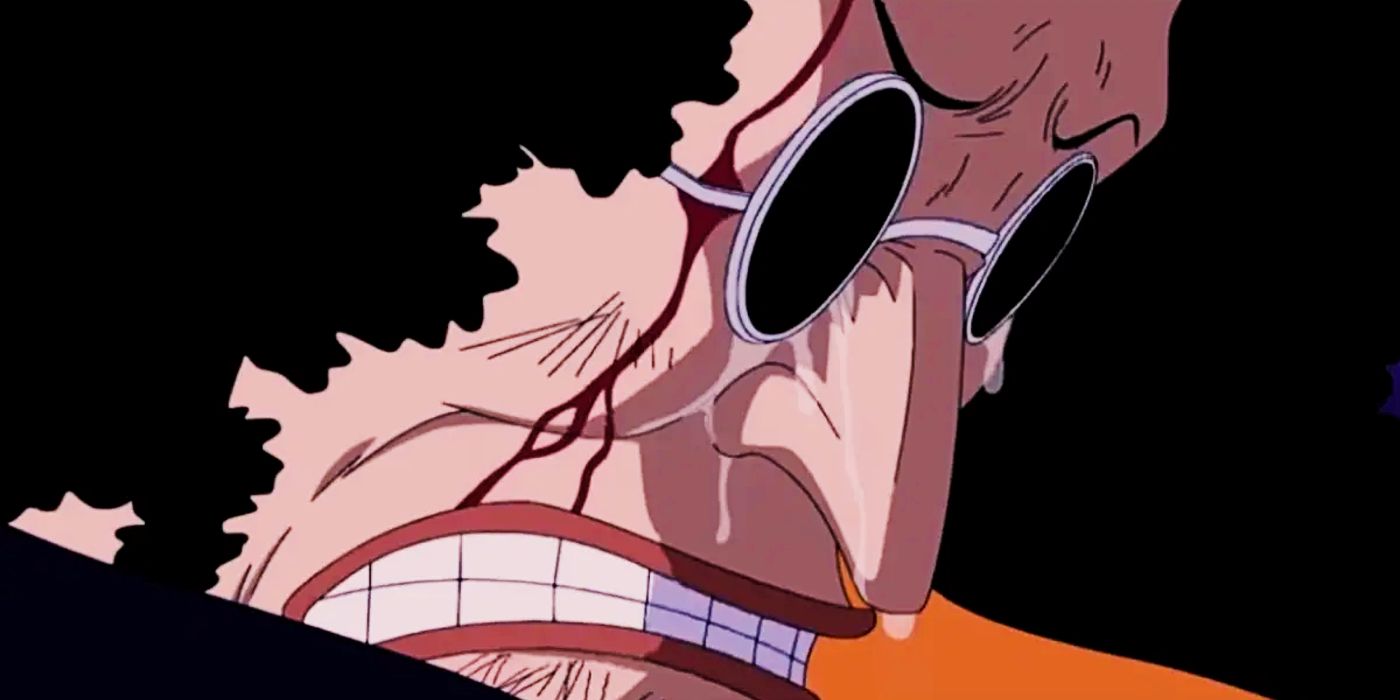 The Straw Hat Pirates' Oldest Crewmates Have More in Common Than One ...