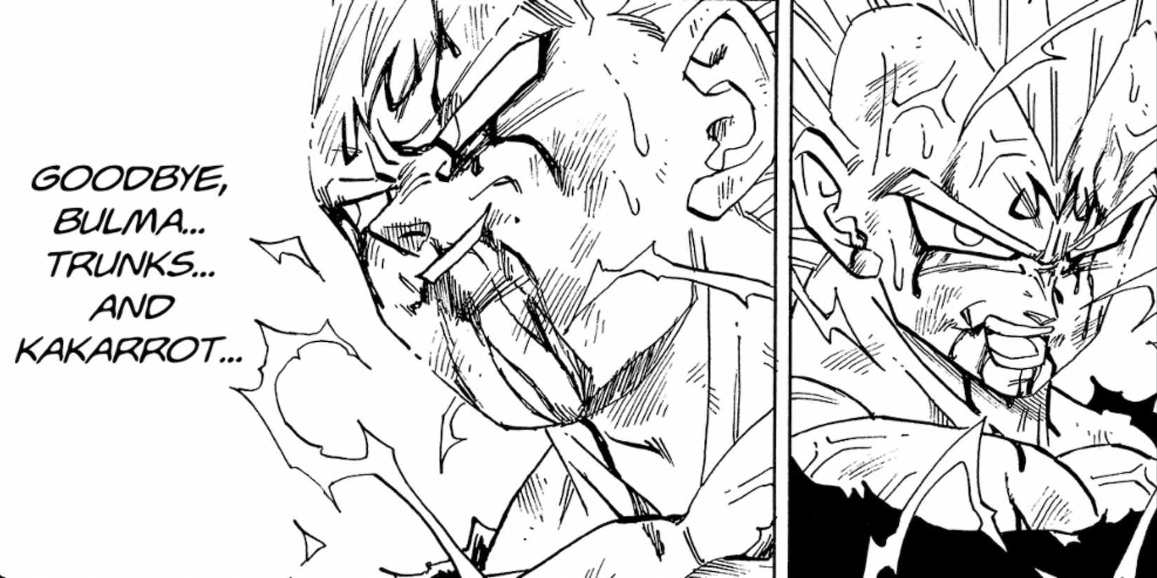 Dragon Ball Manga Vegeta Sacrifice