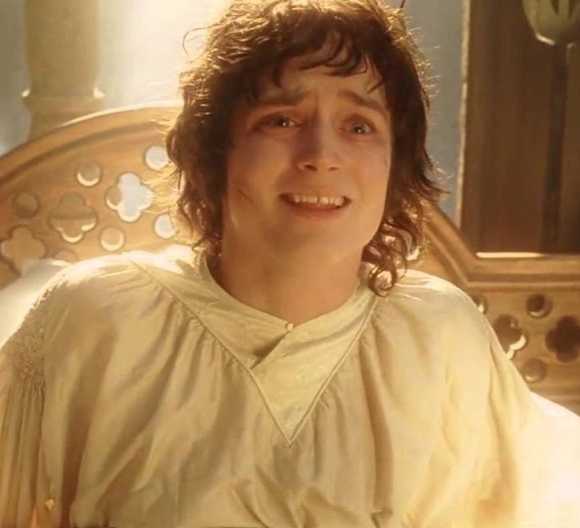 Frodo Looking Back Why Frodo Chose To Leave Middle-earth After The Lord of the Rings