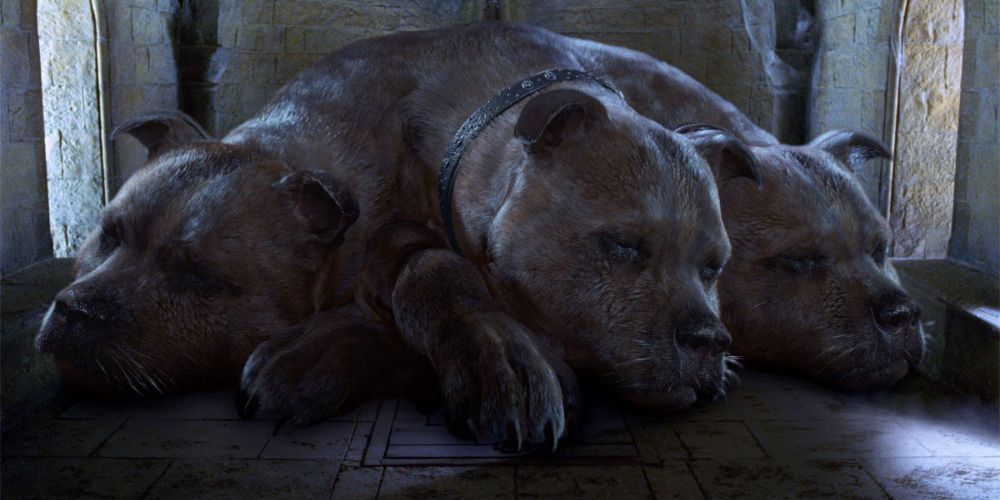 Harry Potter: The Most Dangerous Locations At Hogwarts, Ranked