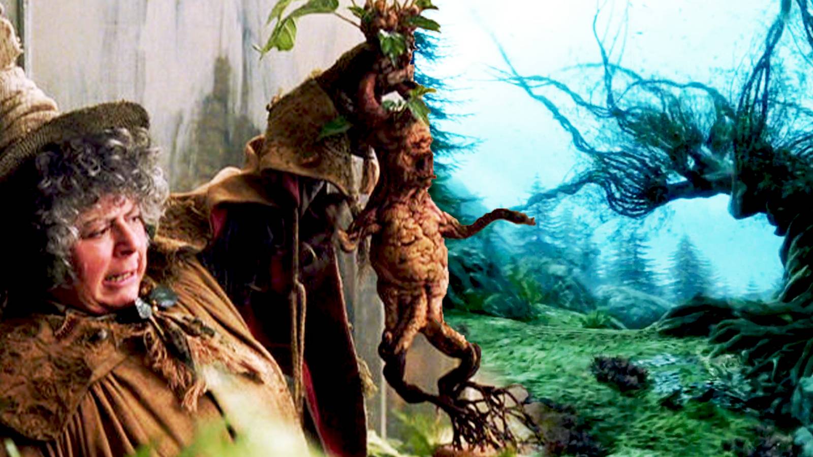 Harry Potter s Plants Are Stronger In The Books harry-potter-s-plants-are-stronger-in-the-books
