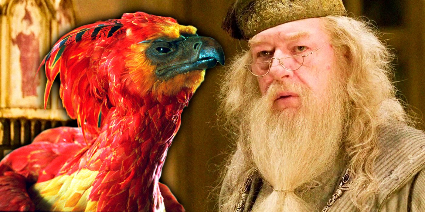 Why the Phoenix Is So Important to the Dumbledores in Harry Potter, image size:1400x700