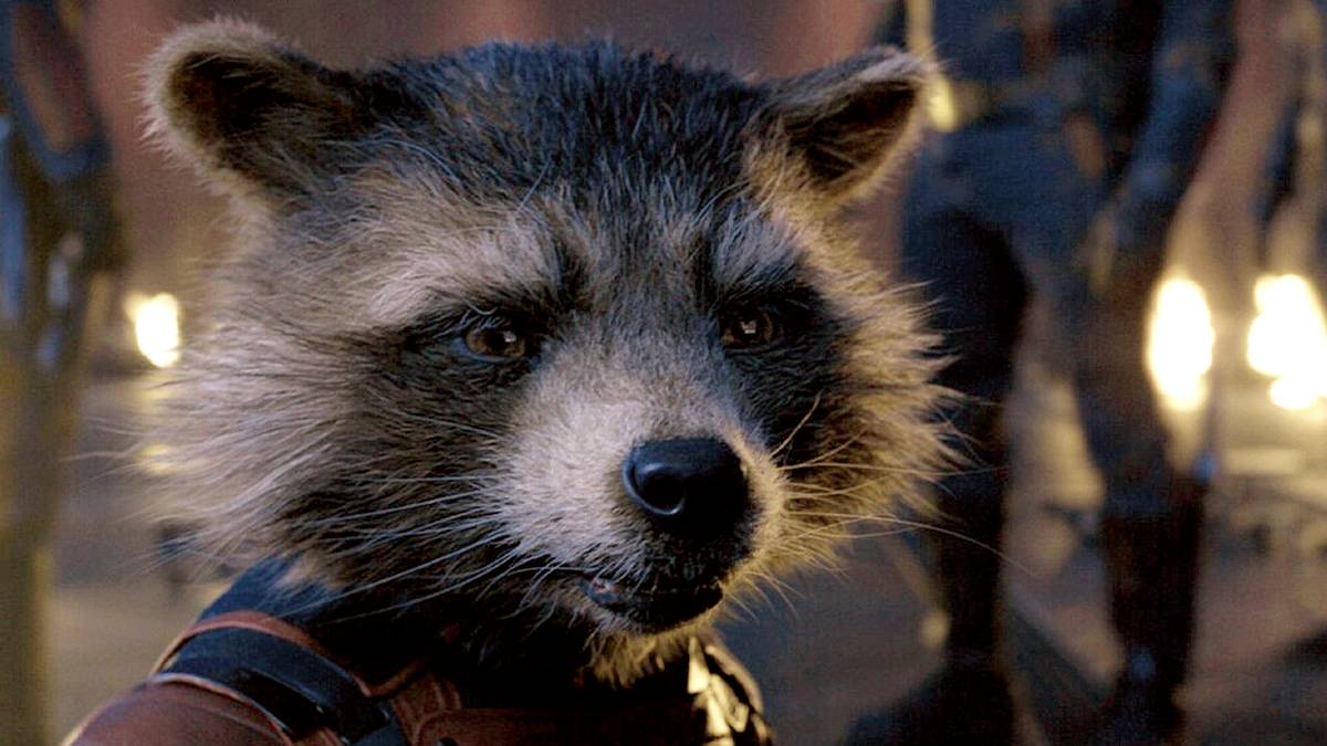 Rocket Gi GOTG 3 Reveals Test Footage of Rocket's Adorably Unsettling Childhood ...