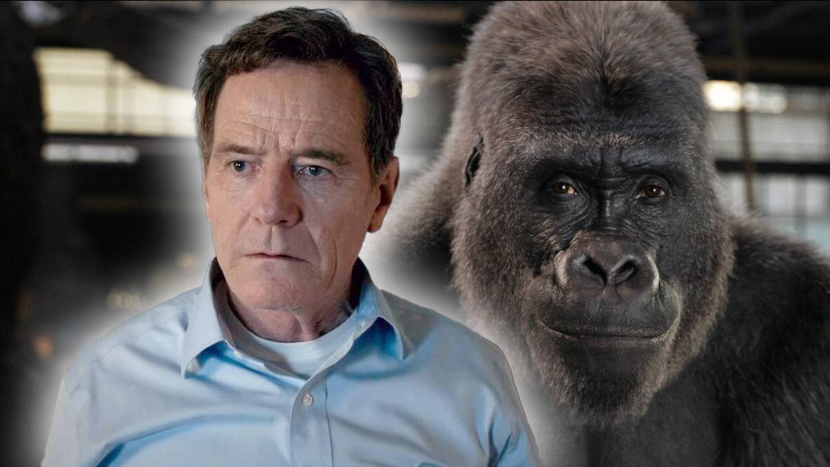 Cranstoon Streamer Bryan Cranston Urges Fans to Watch His Disney+ Film Before the Streamer ...