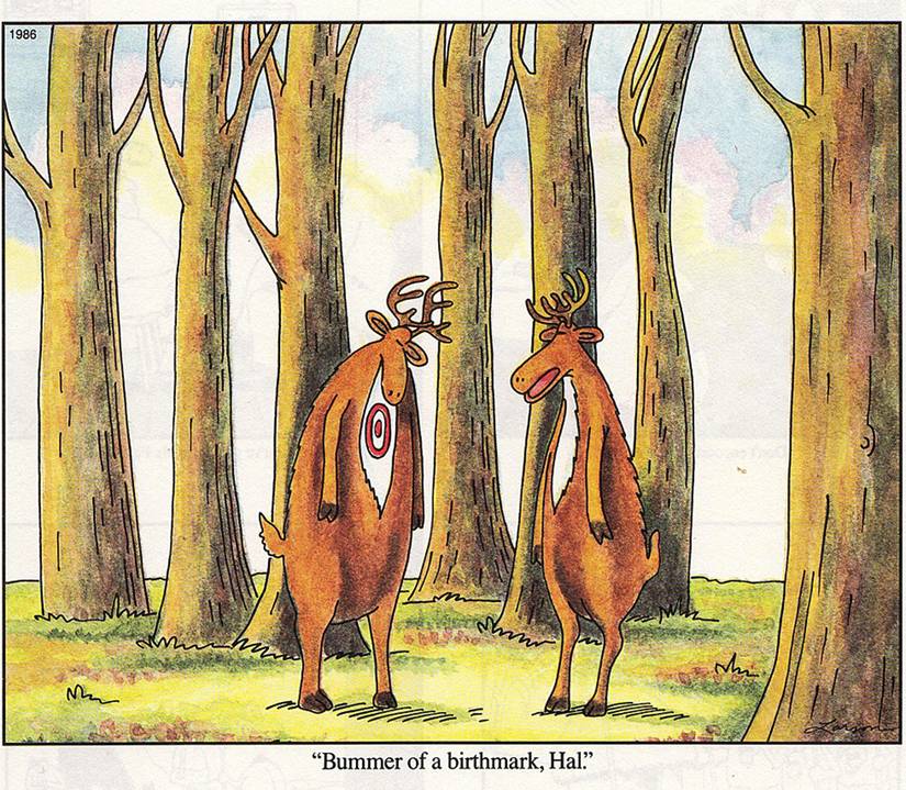 Bummer Cartoon 10 Funniest Far Side Comics That'll Make You Rethink Nature