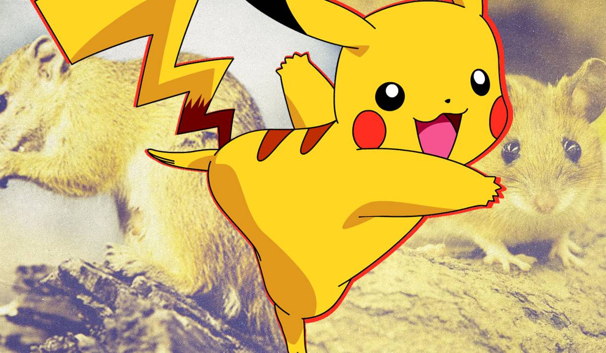 best cards from new pokemon set Pokmon TCG Black Bolt: 10 Best Cards to Pull