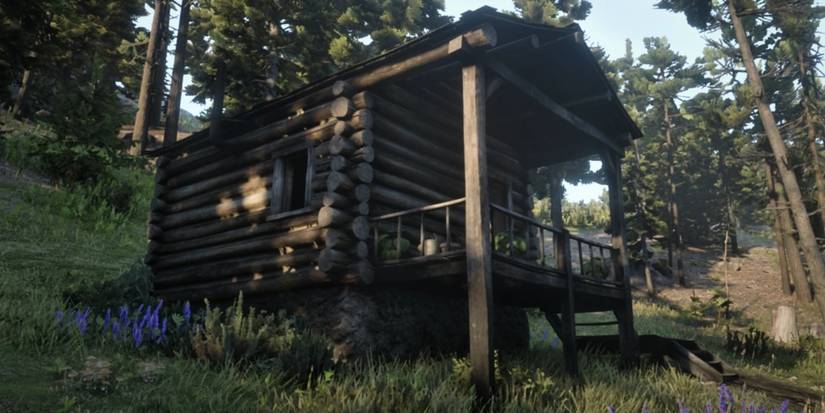 10 Secrets You Still Haven't Found In Red Dead Redemption 2's Map